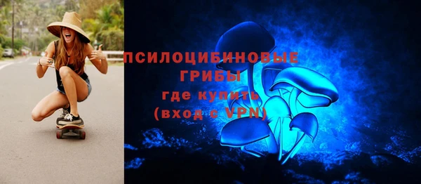тгк Абинск