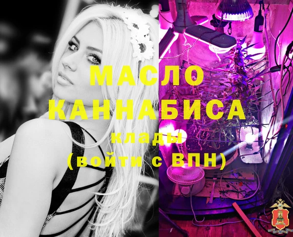 тгк Абинск