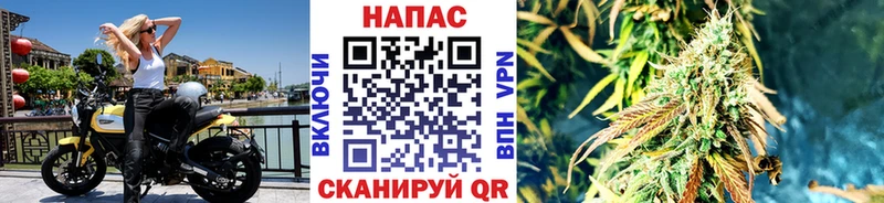 Бошки марихуана VHQ Златоуст